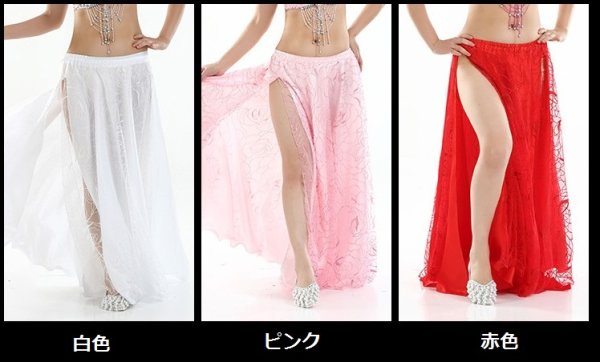 画像2: ベリーダンススカート--バラ柄スカート (2)