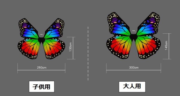 画像2: ベリーダンスアクセサリ-イシスウィング(蝶） (2)