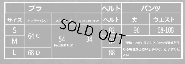 画像2: ベリーダンス衣装コスチューム--発表会用★3点セットWJ01556+Q01556 (2)