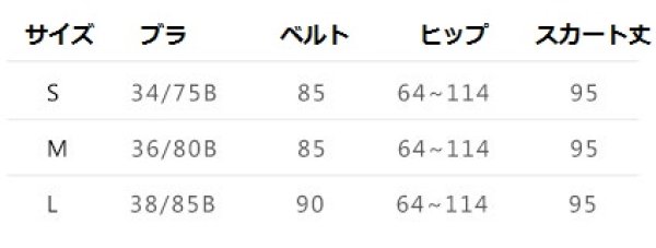 画像3: ベリーダンス衣装コスチューム--発表会用★3点セット119087（119061+119062） (3)