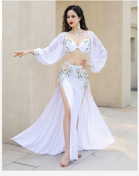 画像3: ベリーダンス衣装コスチューム--ブラ＋スカートYC082 (3)