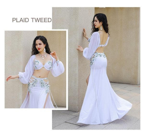 画像2: ベリーダンス衣装コスチューム--ブラ＋スカートYC082 (2)