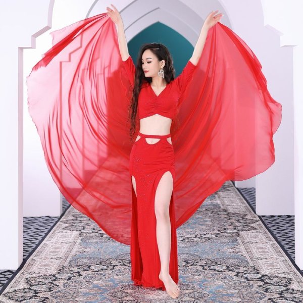 画像2: ベリーダンス練習セット-2点セットT5055 (2)