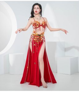 ベリーダンス衣装コスチューム--発表会用☆shaabi baladi