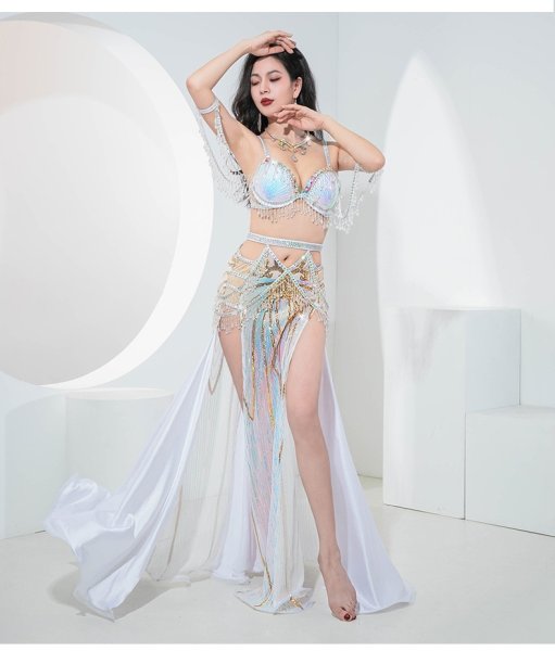 画像3: ベリーダンス衣装コスチュームYC101 (3)