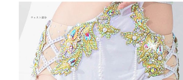 画像4: ベリーダンス衣装コスチューム--ワンピースYC114 (4)