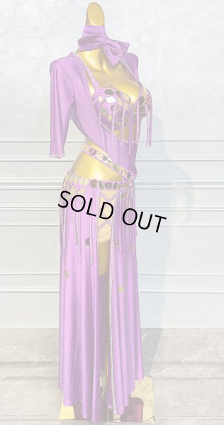 画像4: ベリーダンス衣装コスチューム5点セットWZY100 (4)