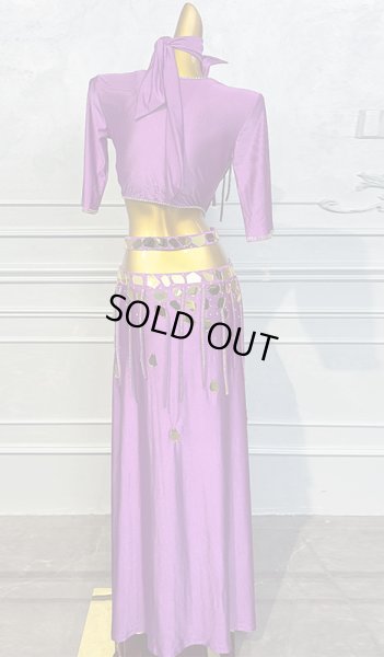 画像3: ベリーダンス衣装コスチューム5点セットWZY100 (3)