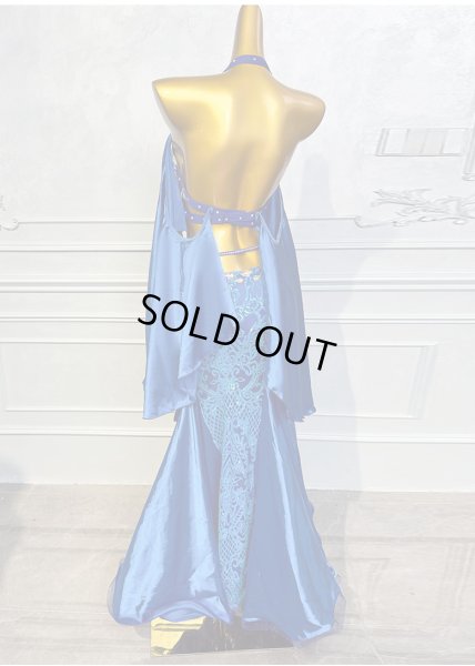 画像4: ベリーダンス衣装コスチュームQC3131-1 (4)