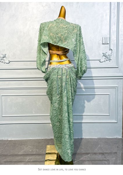 画像6: ベリーダンス衣装コスチュームWZY105 (6)