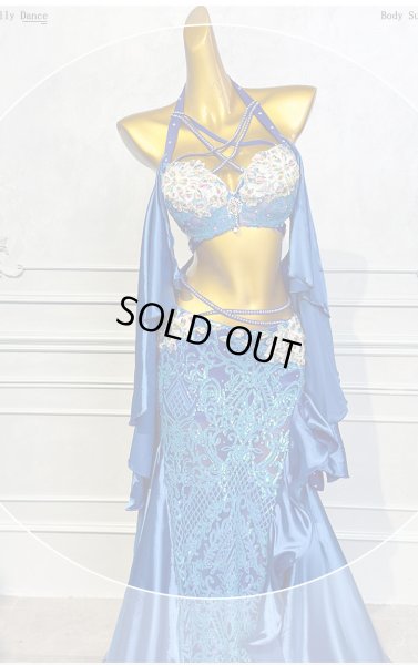 画像2: ベリーダンス衣装コスチュームQC3131-1 (2)