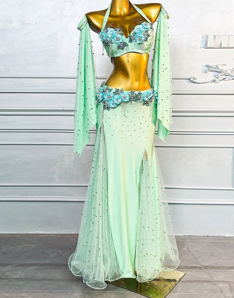 画像2: ベリーダンス衣装コスチュームWZY122 (2)