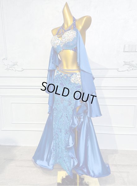 画像3: ベリーダンス衣装コスチュームQC3131-1 (3)