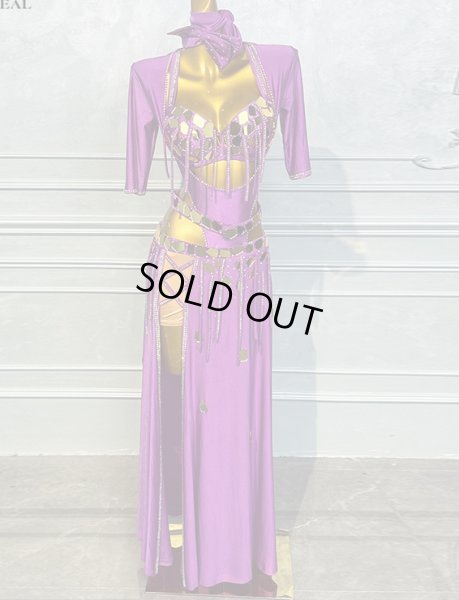 画像2: ベリーダンス衣装コスチューム5点セットWZY100 (2)