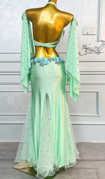 画像4: ベリーダンス衣装コスチュームWZY122 (4)