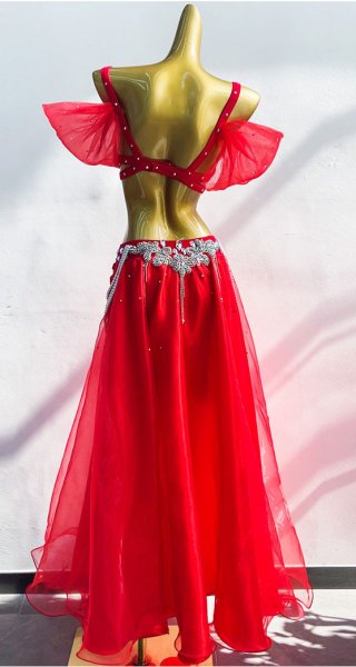 画像2: ベリーダンス衣装コスチュームWZY020 (2)