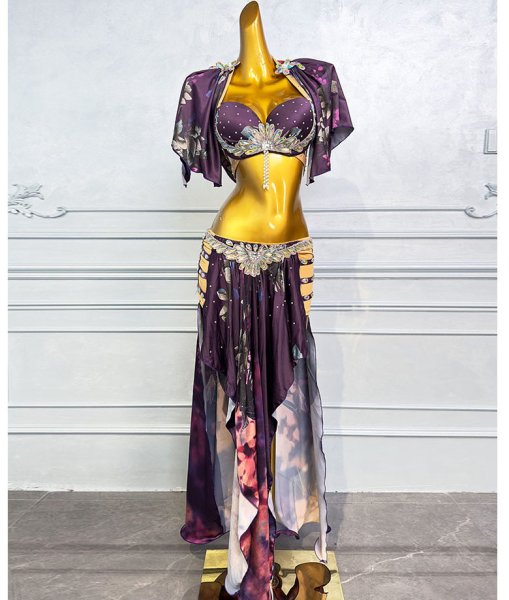 画像4: ベリーダンス衣装コスチュームWZY057-1 (4)