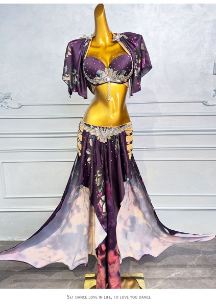 画像2: ベリーダンス衣装コスチュームWZY057-1 (2)