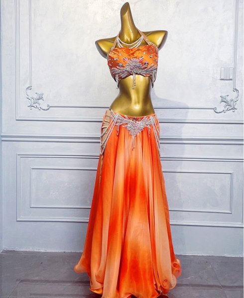 画像6: ベリーダンス衣装コスチュームQC3295 (6)