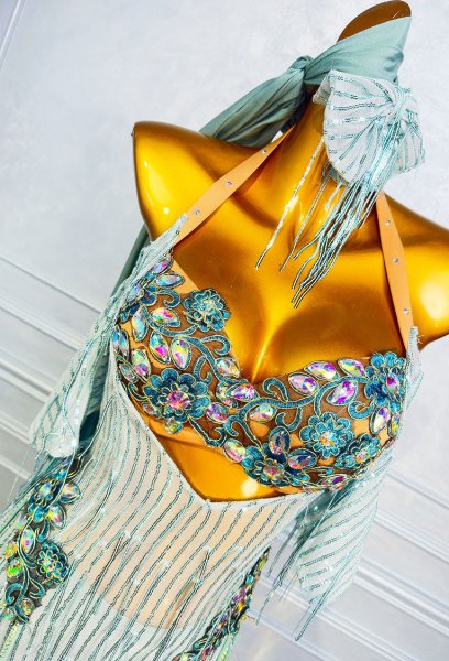 画像2: ベリーダンス衣装コスチューム 3点セットQC3296 (2)