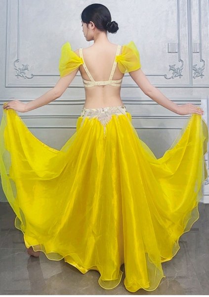 画像8: ベリーダンス衣装コスチュームWZY020 (8)