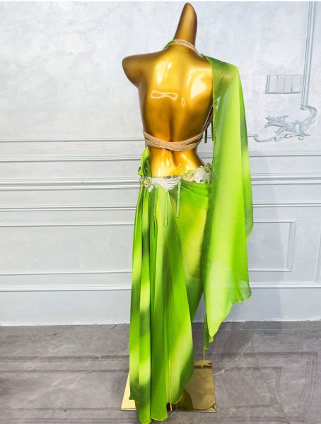 画像6: ベリーダンス衣装コスチュームWZY138 (6)