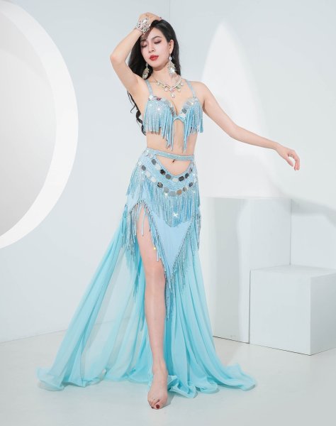 画像4: ベリーダンス衣装コスチューム--ブラ＋スカートYC112 (4)