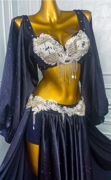 画像3: ベリーダンス衣装コスチュームWZY192 (3)