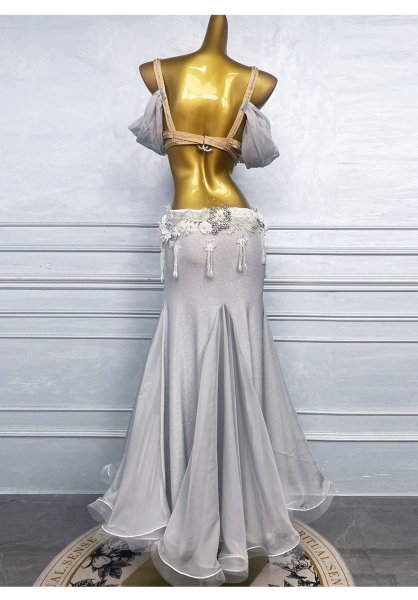 画像2: ベリーダンス衣装コスチュームWZY215　取り寄せ (2)