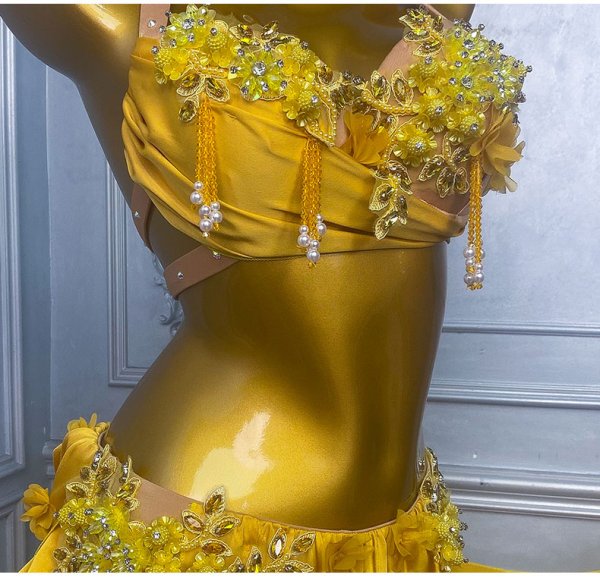 画像5: ベリーダンス衣装コスチュームWZY191 (5)