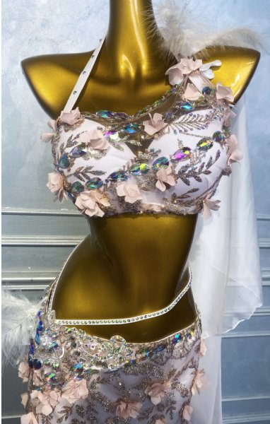 画像4: ベリーダンス衣装コスチュームWZY213　取り寄せ (4)