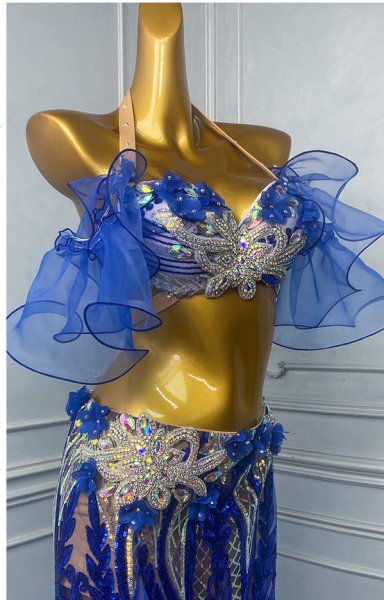 画像3: ベリーダンス衣装コスチュームWZY189取り寄せ (3)