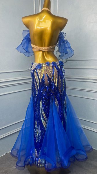 画像2: ベリーダンス衣装コスチュームWZY189取り寄せ (2)