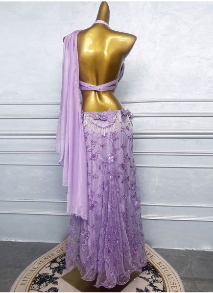 画像3: ベリーダンス衣装コスチュームWZY209-P (3)