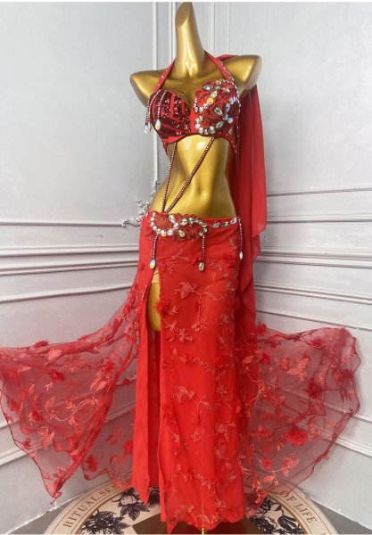 画像4: ベリーダンス衣装コスチュームWZY209-R　取り寄せ (4)