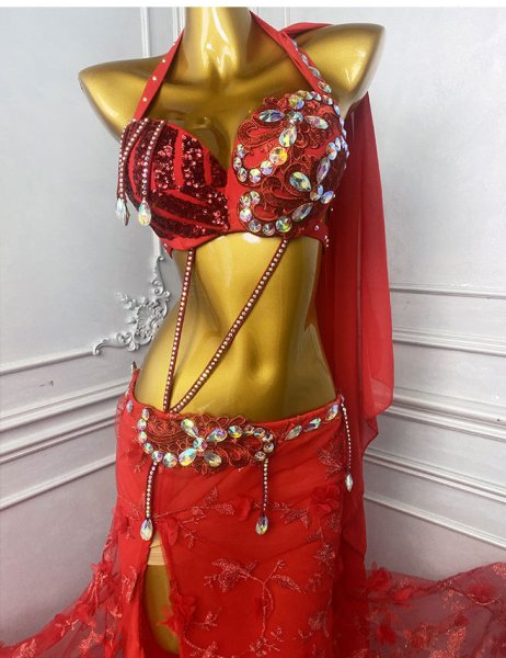 画像3: ベリーダンス衣装コスチュームWZY209-R　取り寄せ (3)