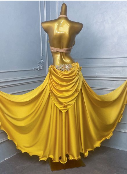 画像2: ベリーダンス衣装コスチュームWZY191 (2)