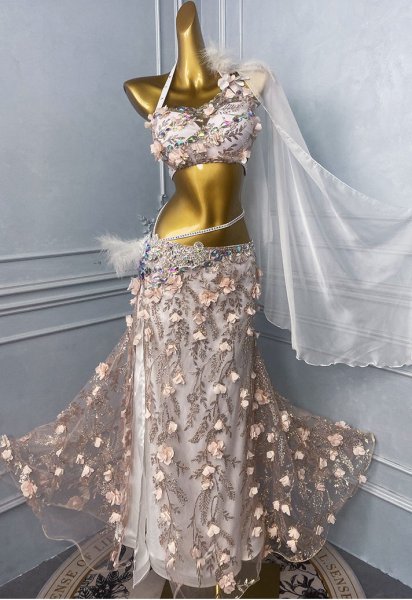 画像3: ベリーダンス衣装コスチュームWZY213　取り寄せ (3)