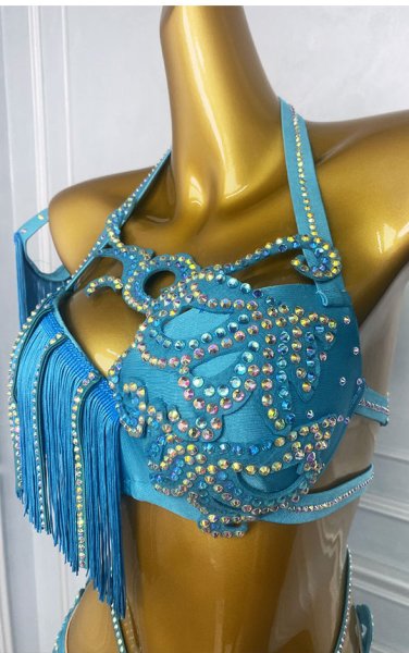 画像3: ベリーダンス衣装コスチュームWZY216 (3)