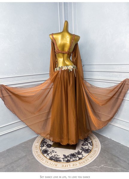 画像3: ベリーダンス衣装コスチュームWZY196 (3)