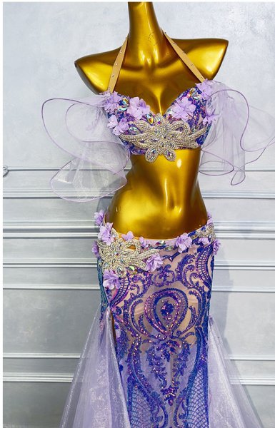 画像3: ベリーダンス衣装コスチュームWZY190-P (3)