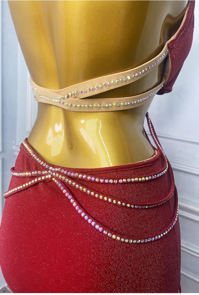 画像4: ベリーダンス衣装コスチュームWZY203 (4)