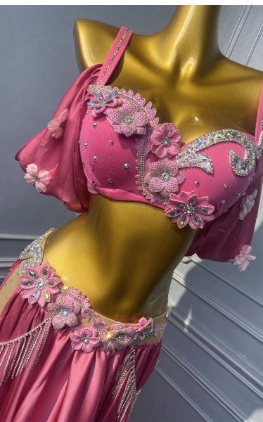 画像3: ベリーダンス衣装コスチュームWZY188 (3)