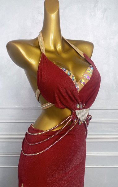 画像3: ベリーダンス衣装コスチュームWZY203 (3)