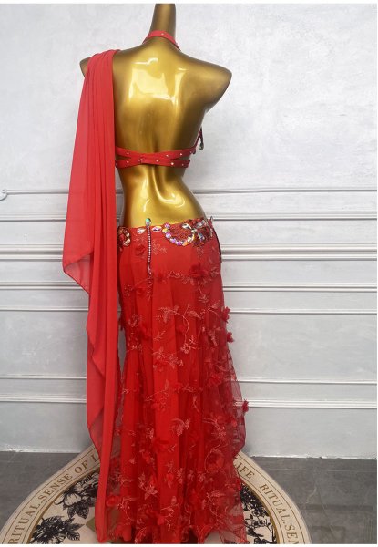 画像2: ベリーダンス衣装コスチュームWZY209-R　取り寄せ (2)