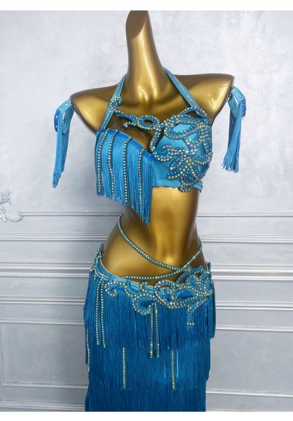 画像6: ベリーダンス衣装コスチュームWZY216 (6)