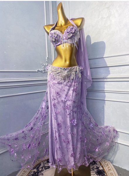 画像2: ベリーダンス衣装コスチュームWZY209-P (2)