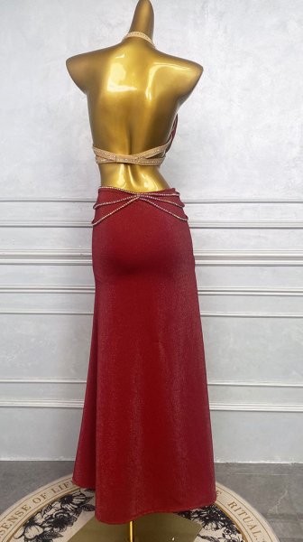 画像2: ベリーダンス衣装コスチュームWZY203 (2)