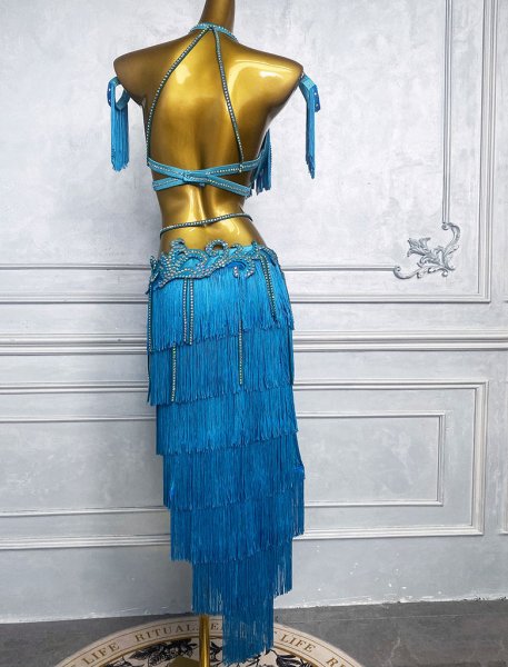 画像2: ベリーダンス衣装コスチュームWZY216 (2)