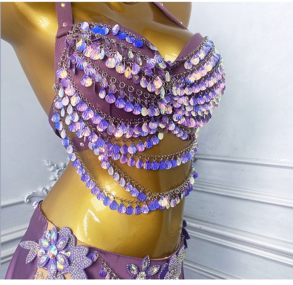 画像4: ベリーダンス衣装コスチュームWZY211 (4)